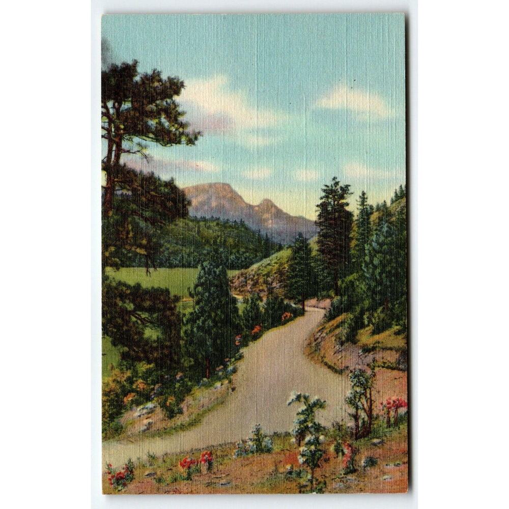 Scenic Drive Roadway In Gallinas Canyon Near Las Vegas New Mexico Postcard Linen